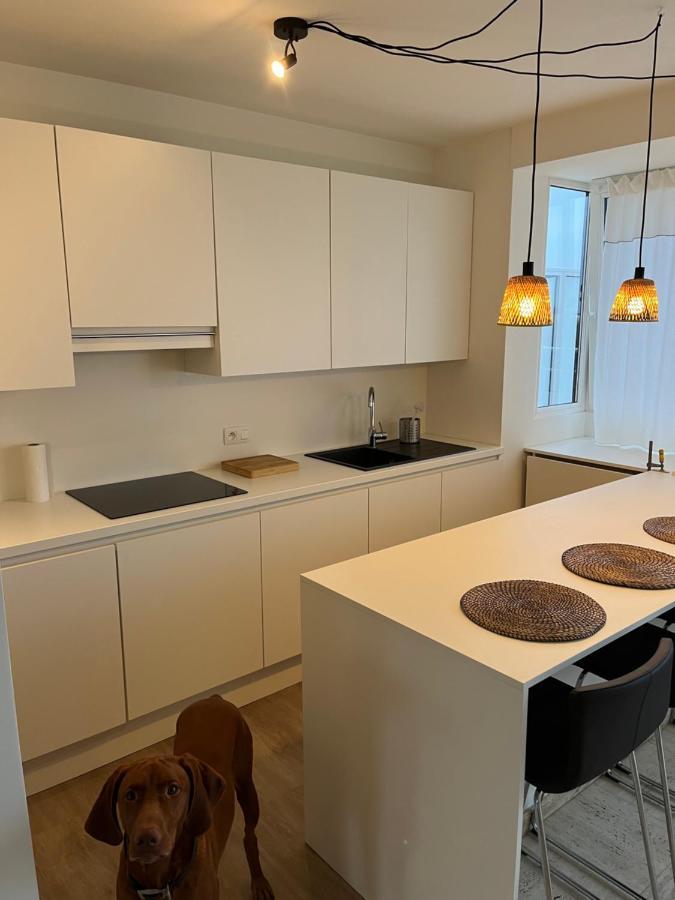 Penthouse Mathilde Apartment Остенде Екстериор снимка